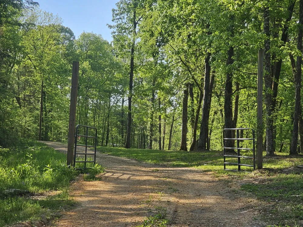 4 Island View Dr Bath Springs, TN 38311
