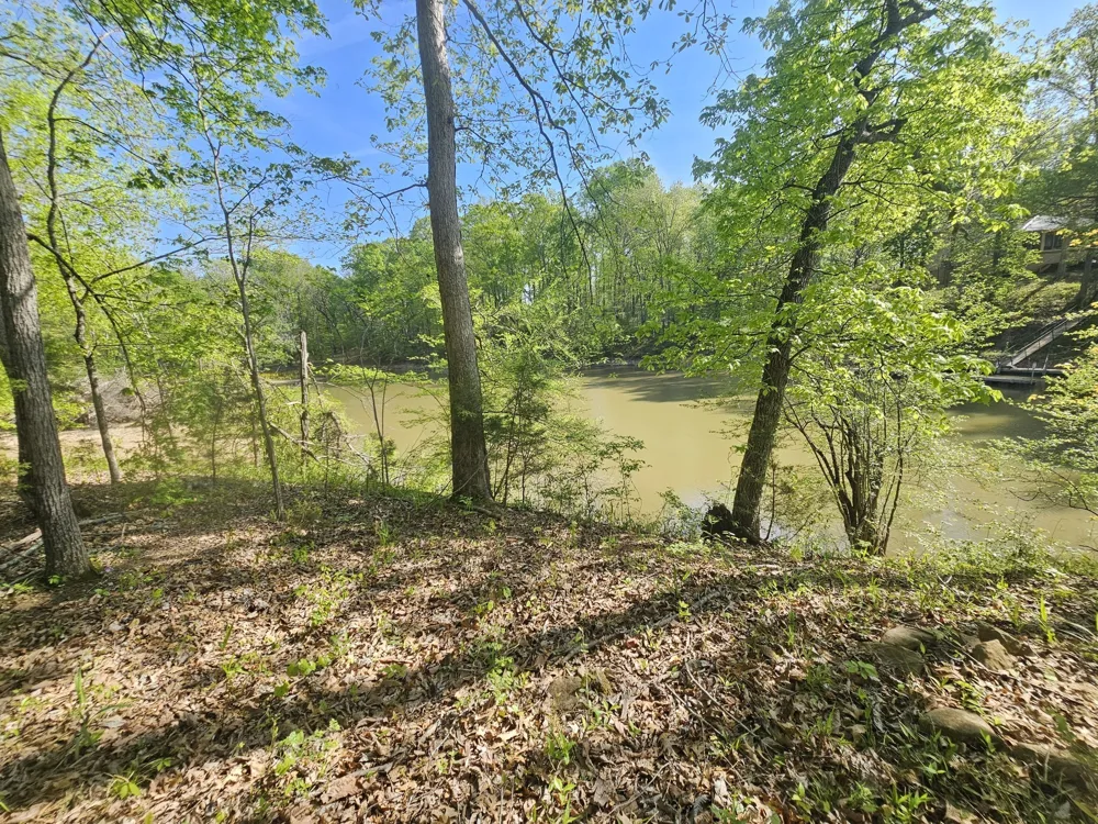 4 Island View Dr Bath Springs, TN 38311
