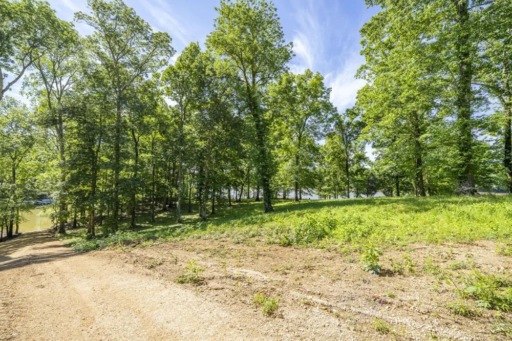 4 Island View Dr Bath Springs, TN 38311
