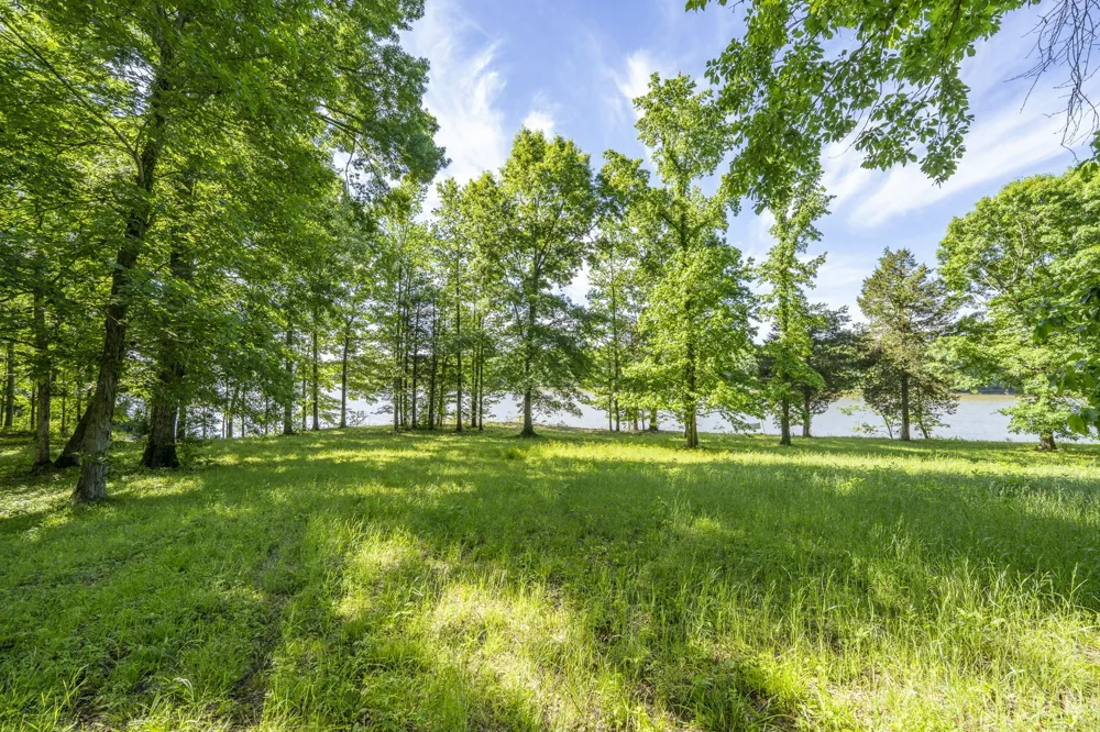 4 Island View Dr Bath Springs, TN 38311
