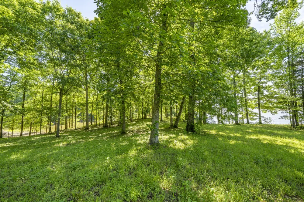 4 Island View Dr Bath Springs, TN 38311
