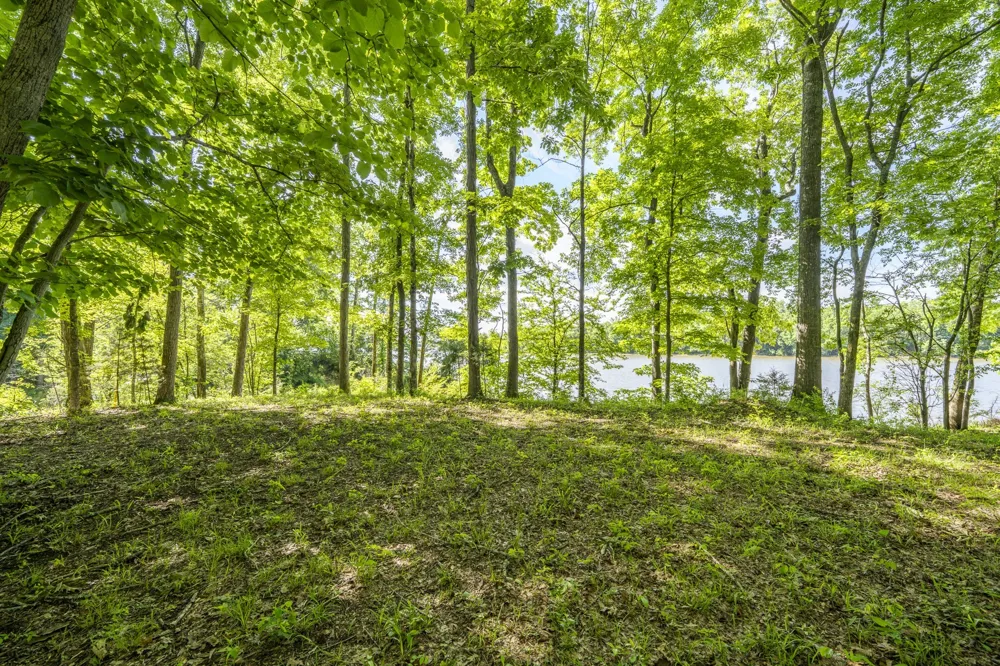 4 Island View Dr Bath Springs, TN 38311