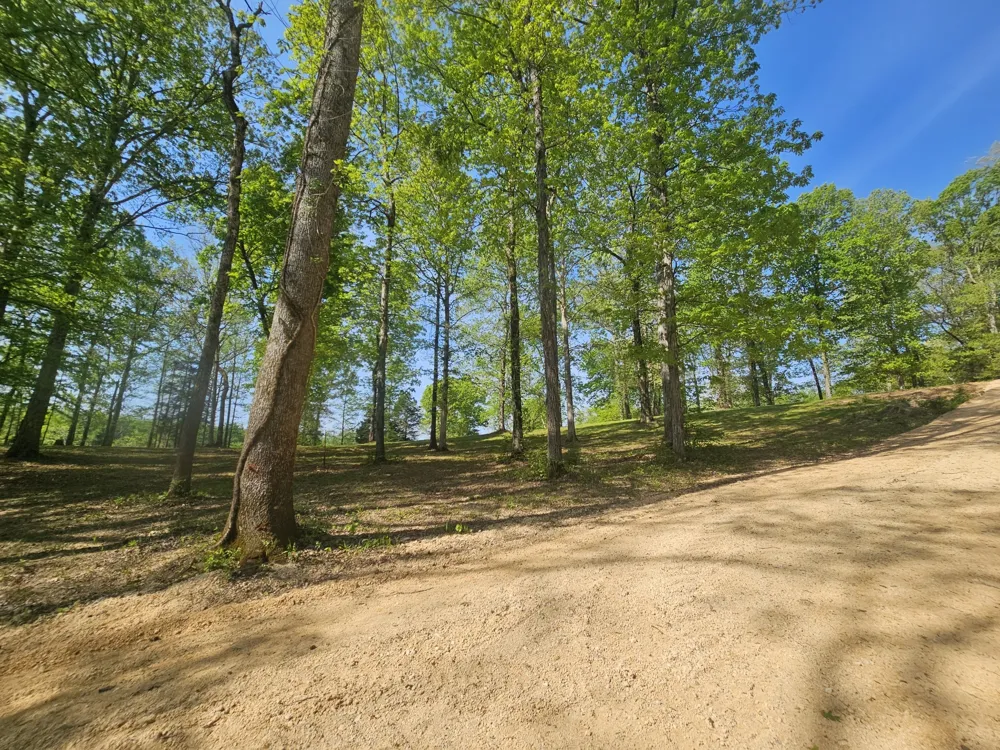 4 Island View Dr Bath Springs, TN 38311