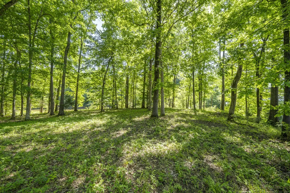 4 Island View Dr Bath Springs, TN 38311