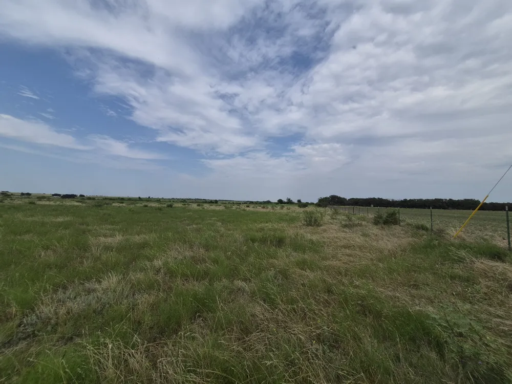 County Road 627 Indian Gap, TX 76531