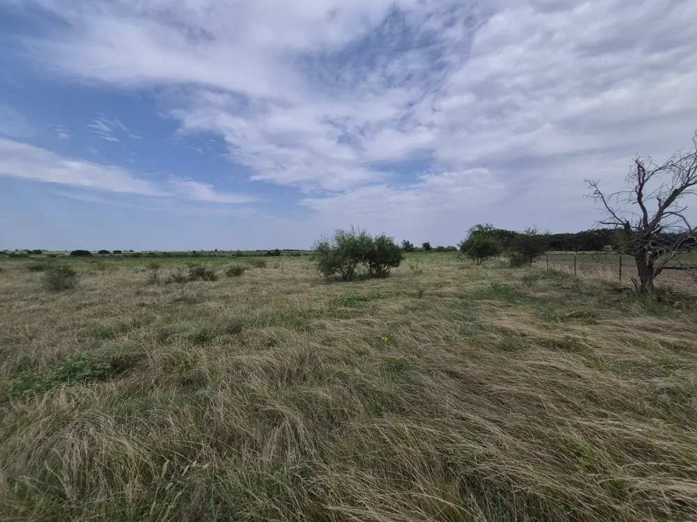 County Road 627 Indian Gap, TX 76531