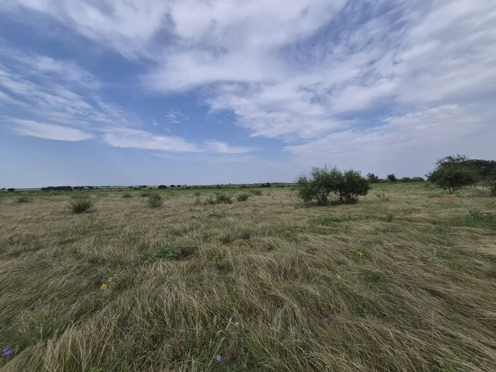 County Road 627 Indian Gap, TX 76531