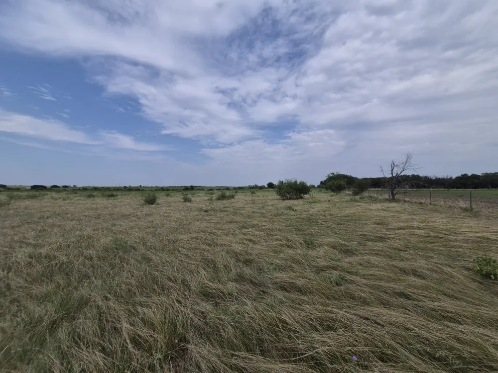 County Road 627 Indian Gap, TX 76531