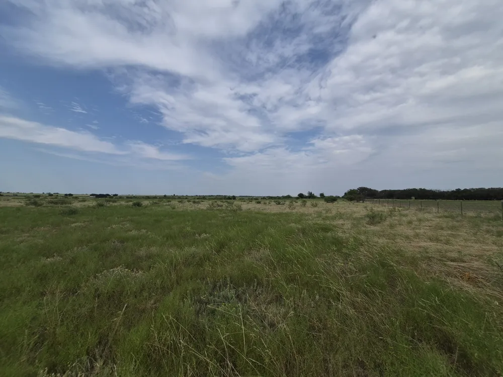County Road 627 Indian Gap, TX 76531