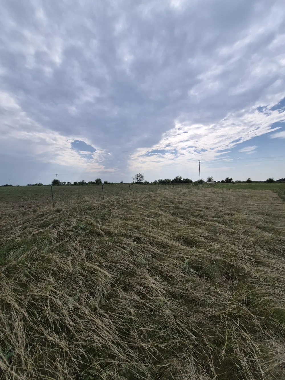 County Road 627 Indian Gap, TX 76531