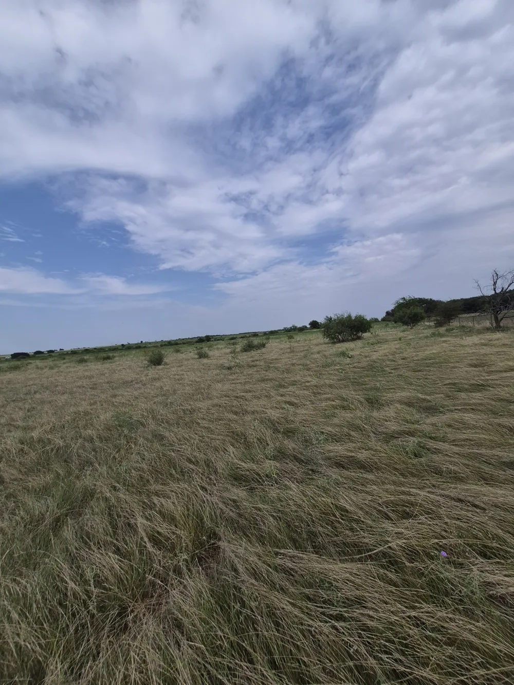 County Road 627 Indian Gap, TX 76531