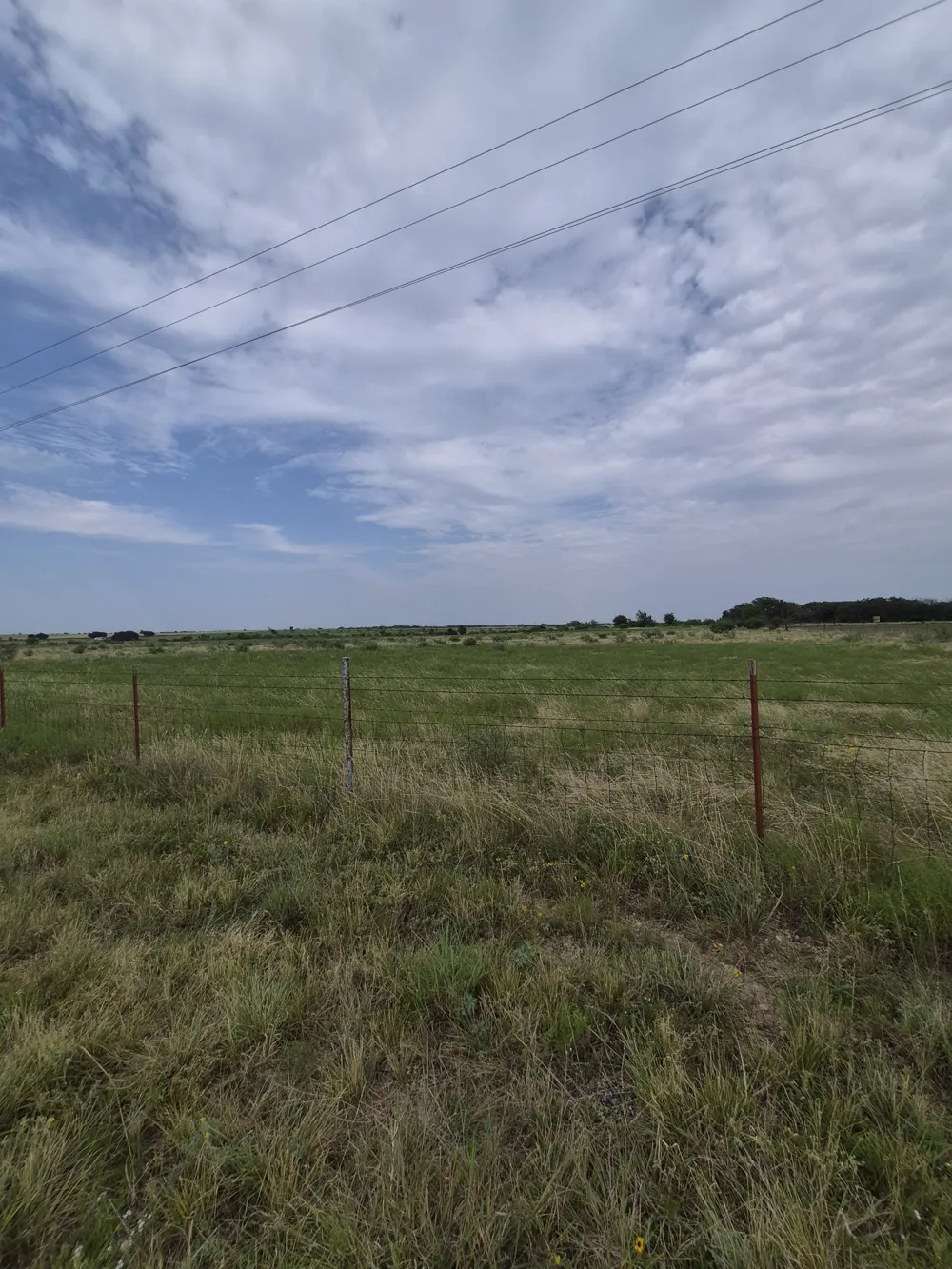 County Road 627 Indian Gap, TX 76531