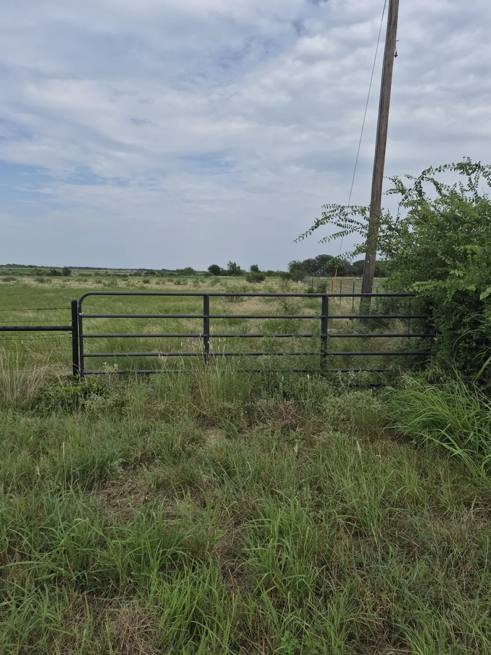 County Road 627 Indian Gap, TX 76531