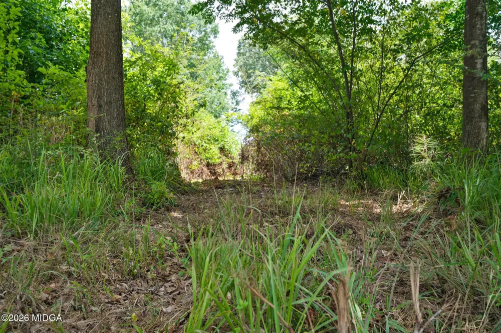 68 Askin Place Culloden, GA 31016
