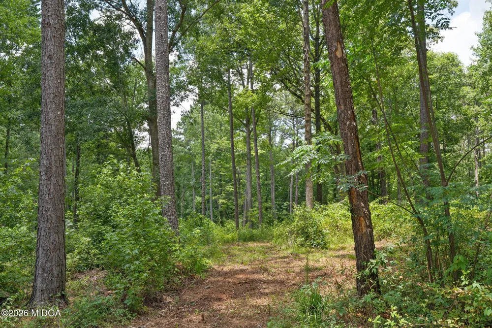 85 Askin Place Culloden, GA 31016