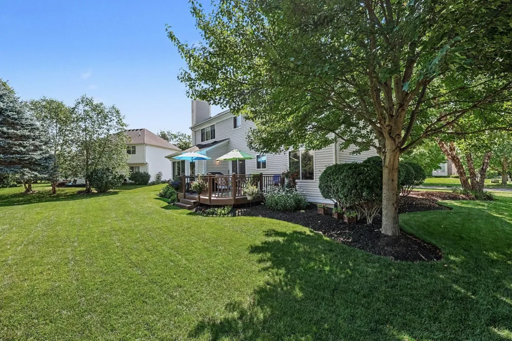 913 Darwin Drive Chelsea, MI 48118