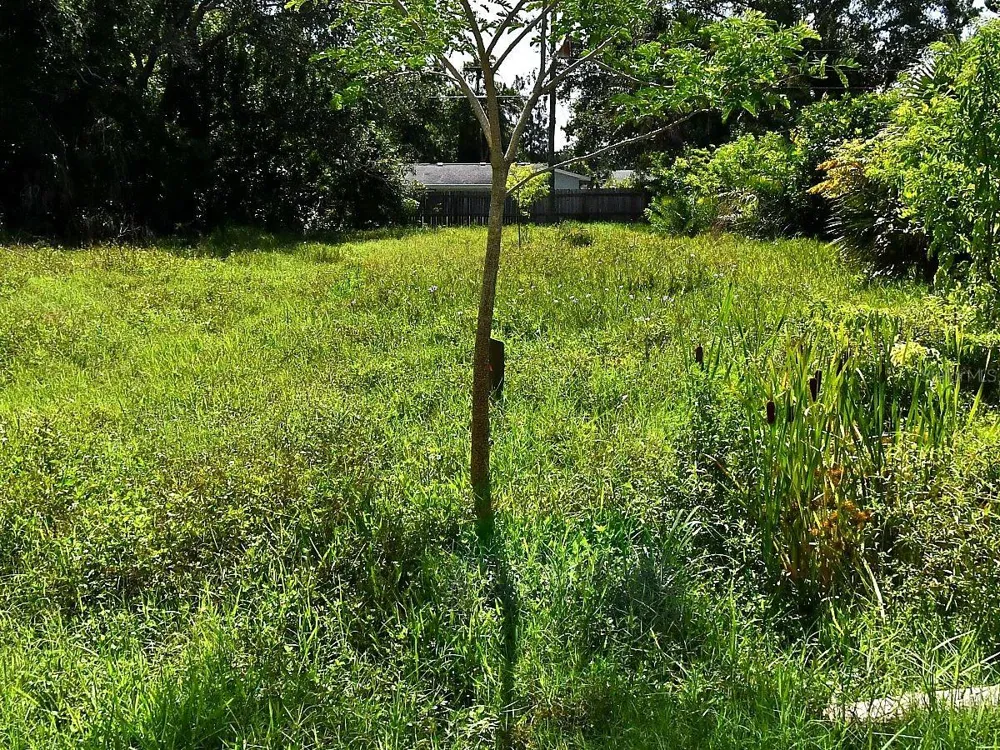 OLIVE AVENUE Nokomis, FL 34275