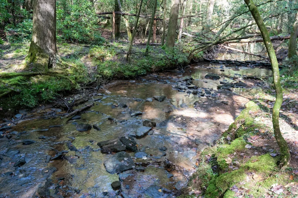 75A Deer Lick Trail Monteagle, TN 37356
