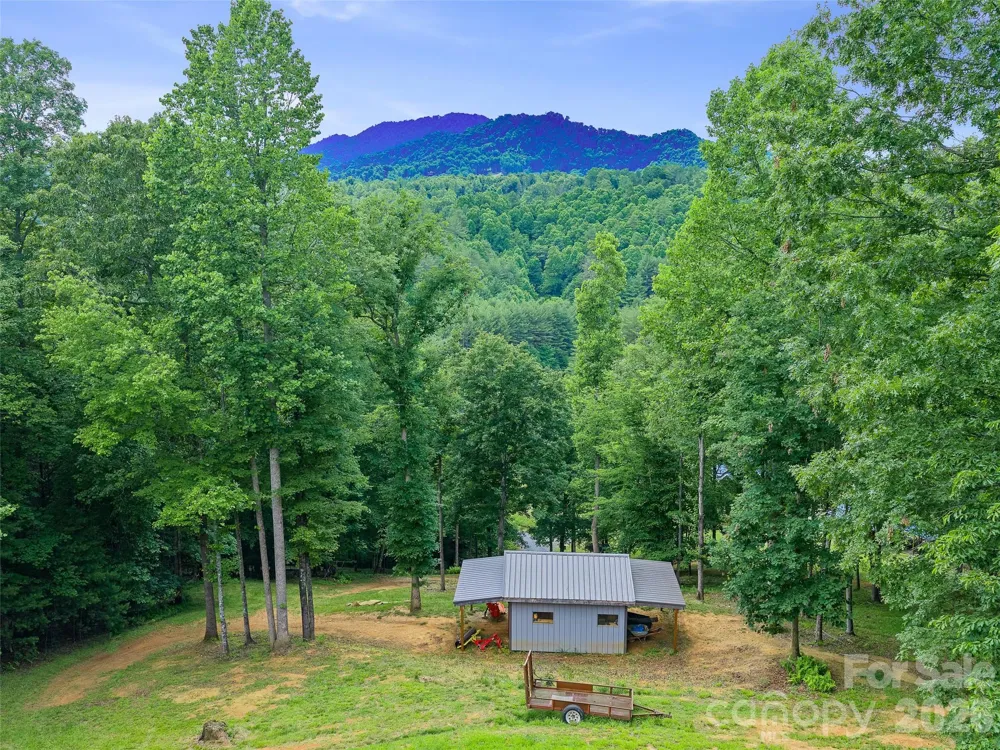 109 Tall Timber Lane Green Mountain, NC 28740
