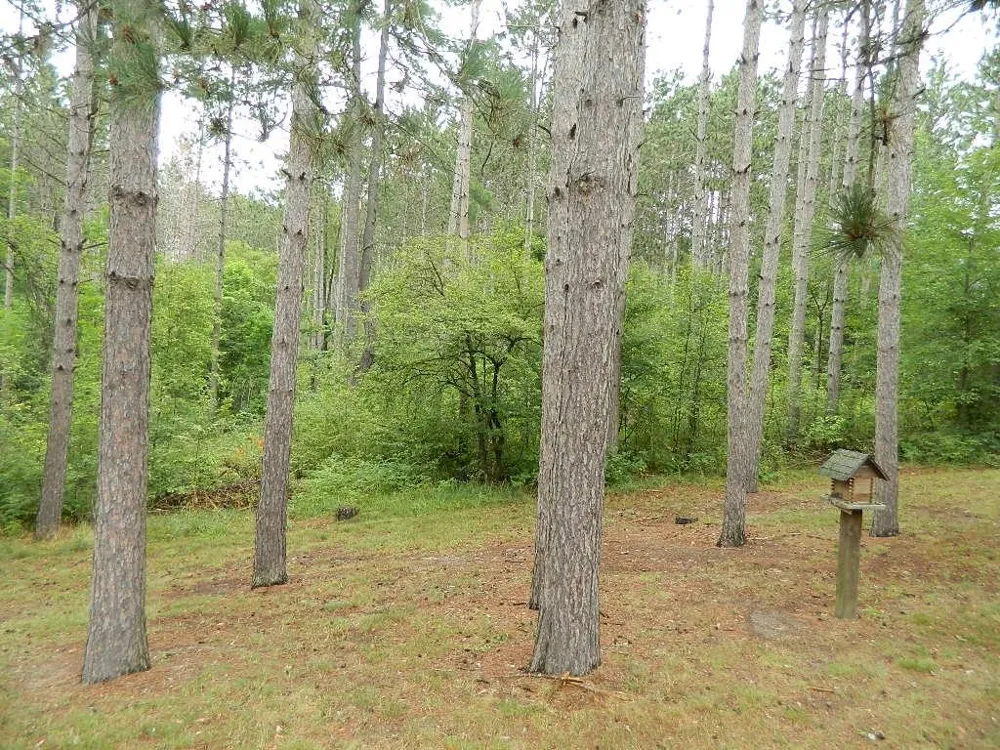 19282 Highway US 10 Richmond Township, MI 49677