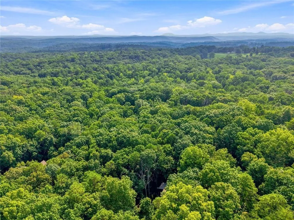 21 Yearling Lane Big Canoe, GA 30143