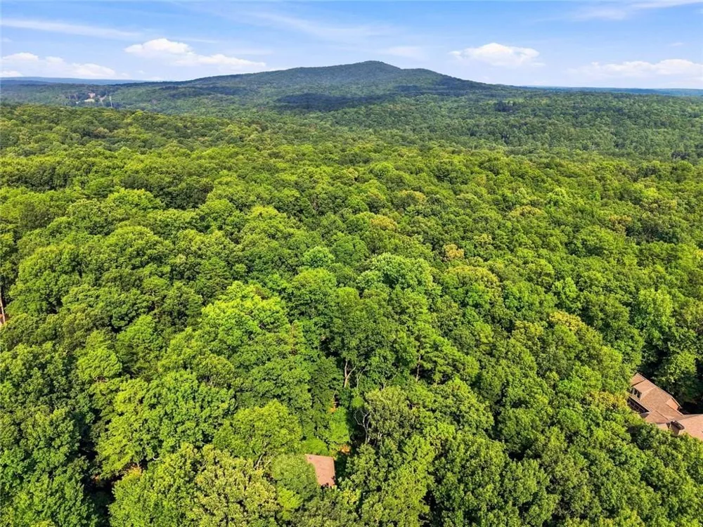 21 Yearling Lane Big Canoe, GA 30143