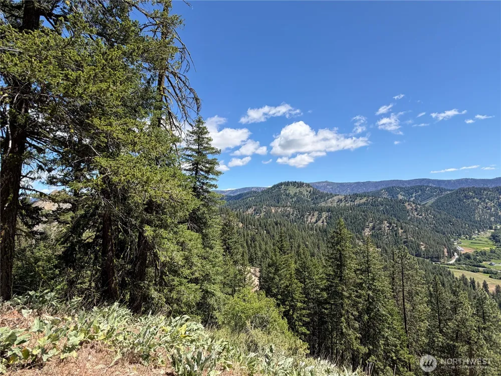 16100 Chumstick Highway Leavenworth, WA 98826