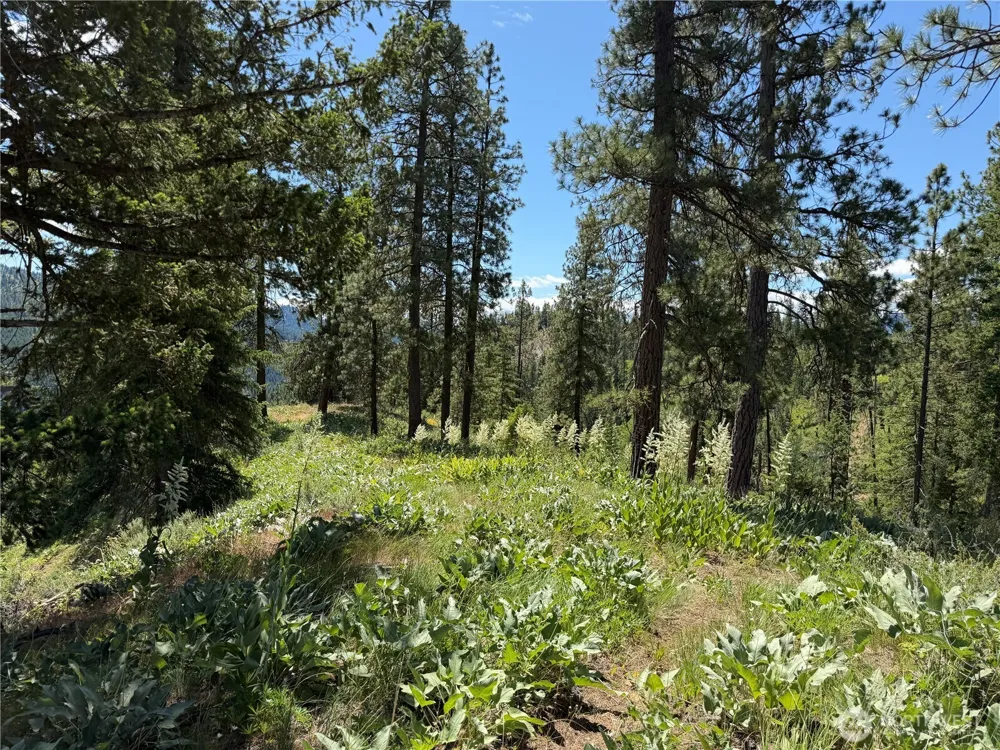 16100 Chumstick Highway Leavenworth, WA 98826