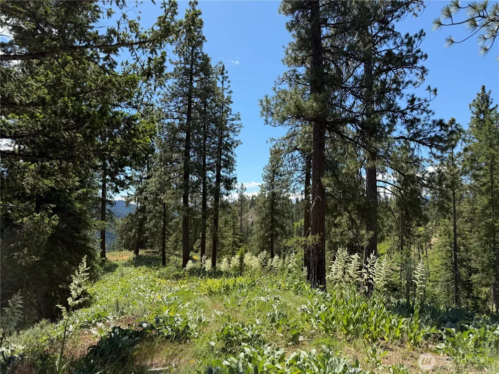 16100 Chumstick Highway Leavenworth, WA 98826