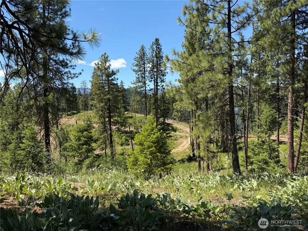 16100 Chumstick Highway Leavenworth, WA 98826