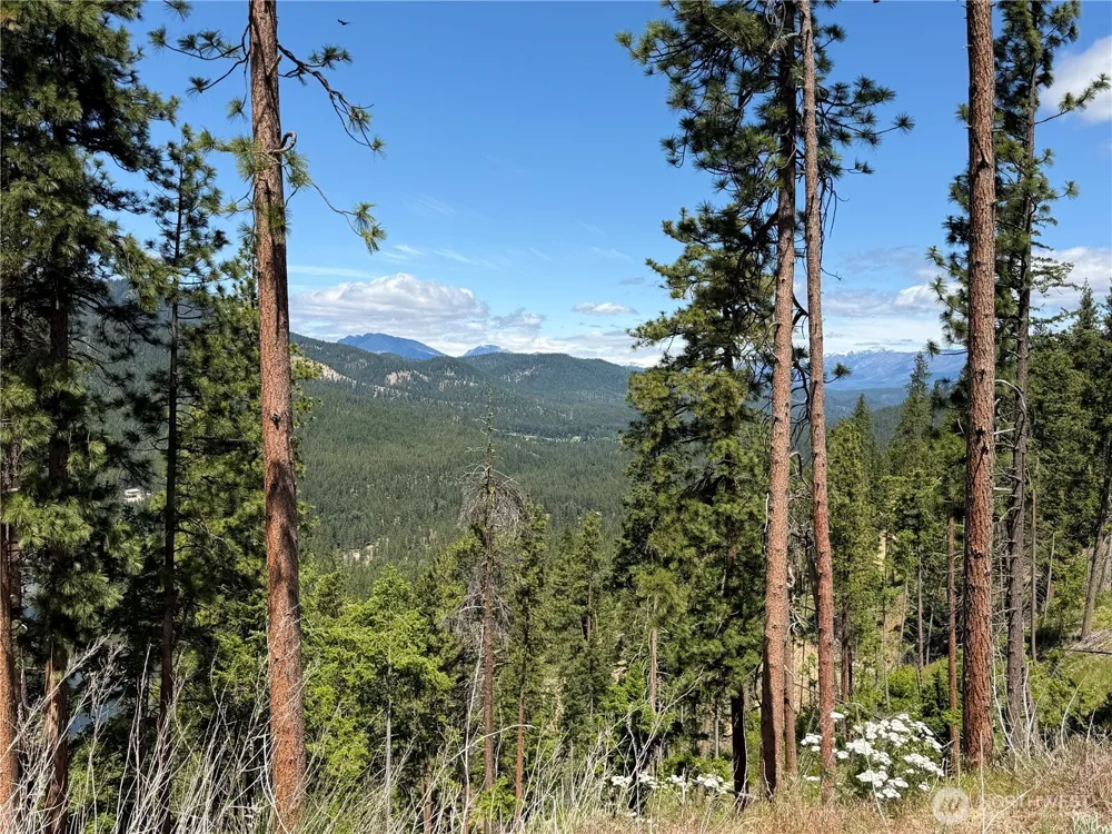 16100 Chumstick Highway Leavenworth, WA 98826