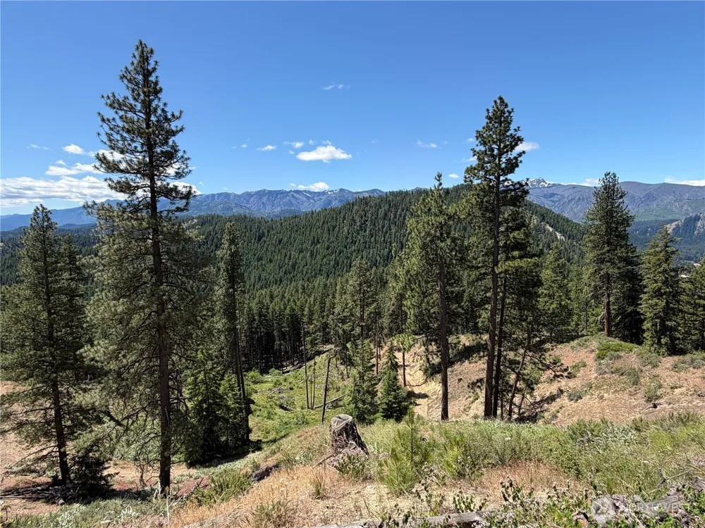 16100 Chumstick Highway Leavenworth, WA 98826