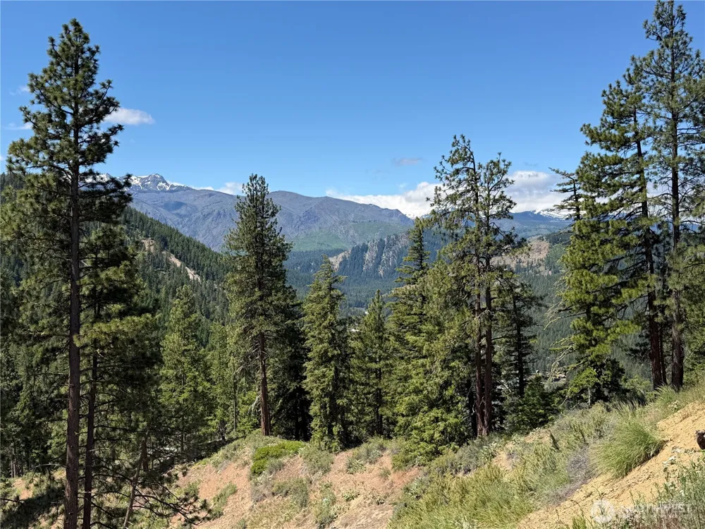 16100 Chumstick Highway Leavenworth, WA 98826