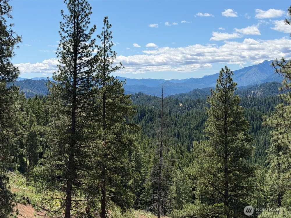 16100 Chumstick Highway Leavenworth, WA 98826