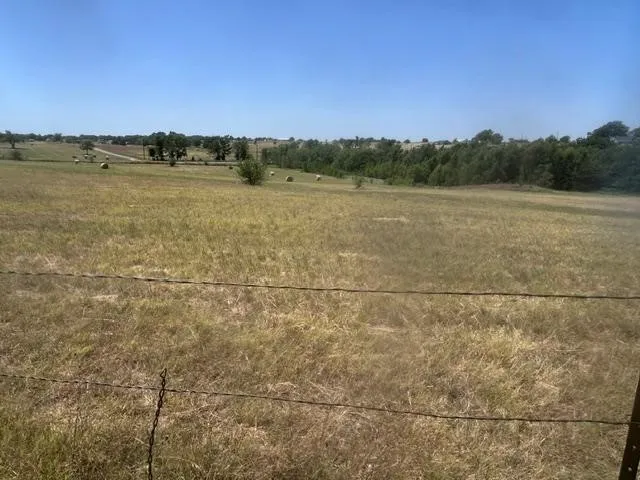 195 Whitworth Road Whitewright, TX 75491