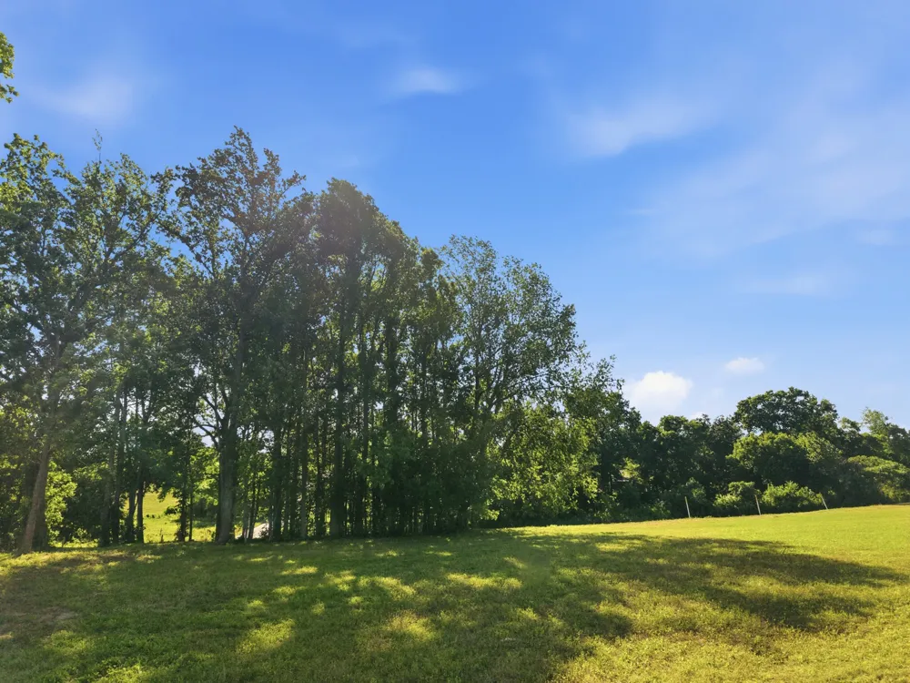 0 Ben Armstrong Road Castalian Springs, TN 37031