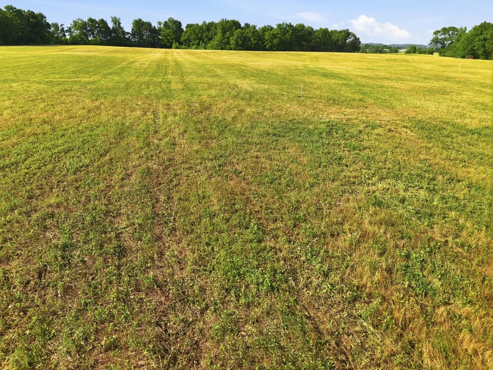 0 Ben Armstrong Road Castalian Springs, TN 37031