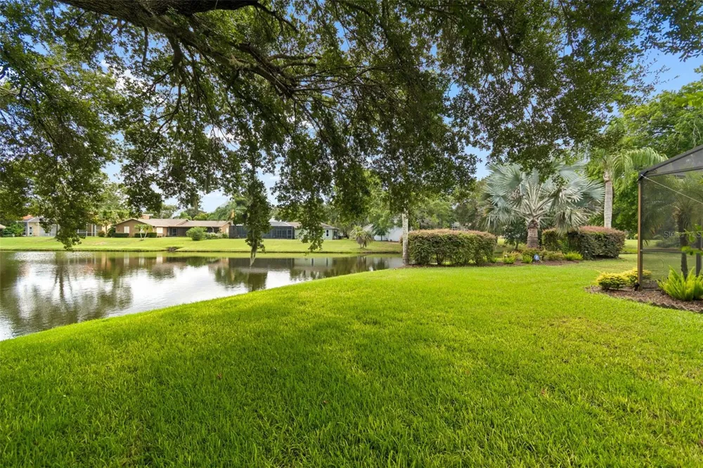 2364 VIOLET PL Palm Harbor, FL 34685