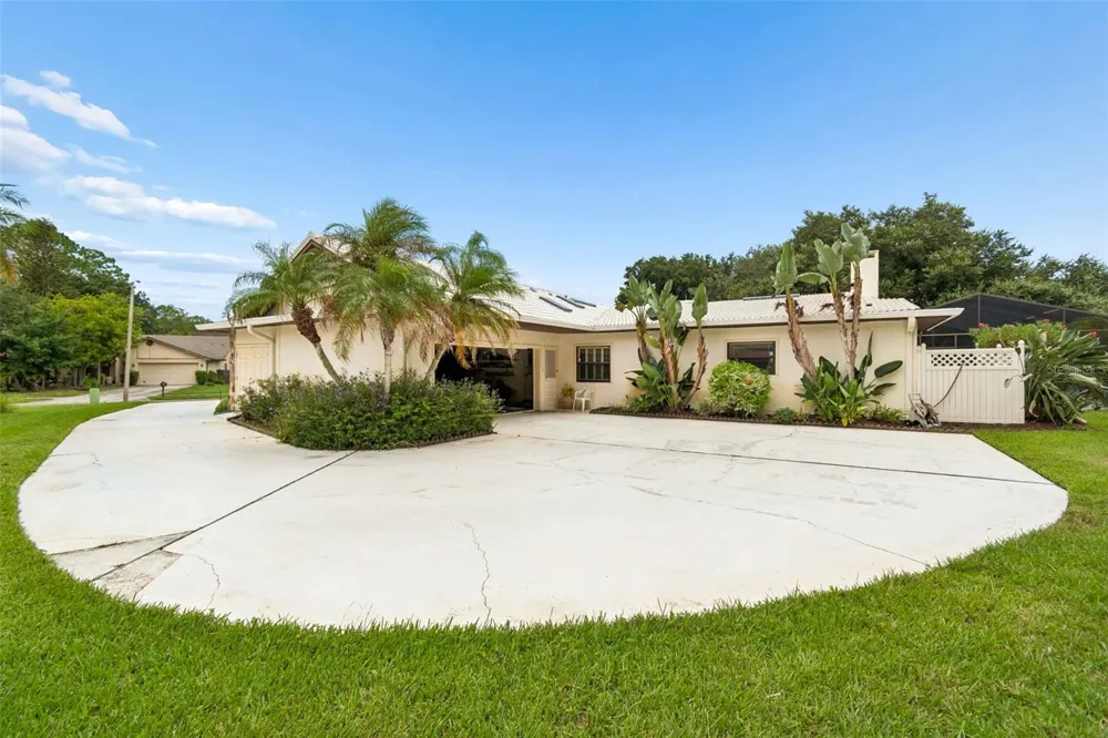 2364 VIOLET PL Palm Harbor, FL 34685