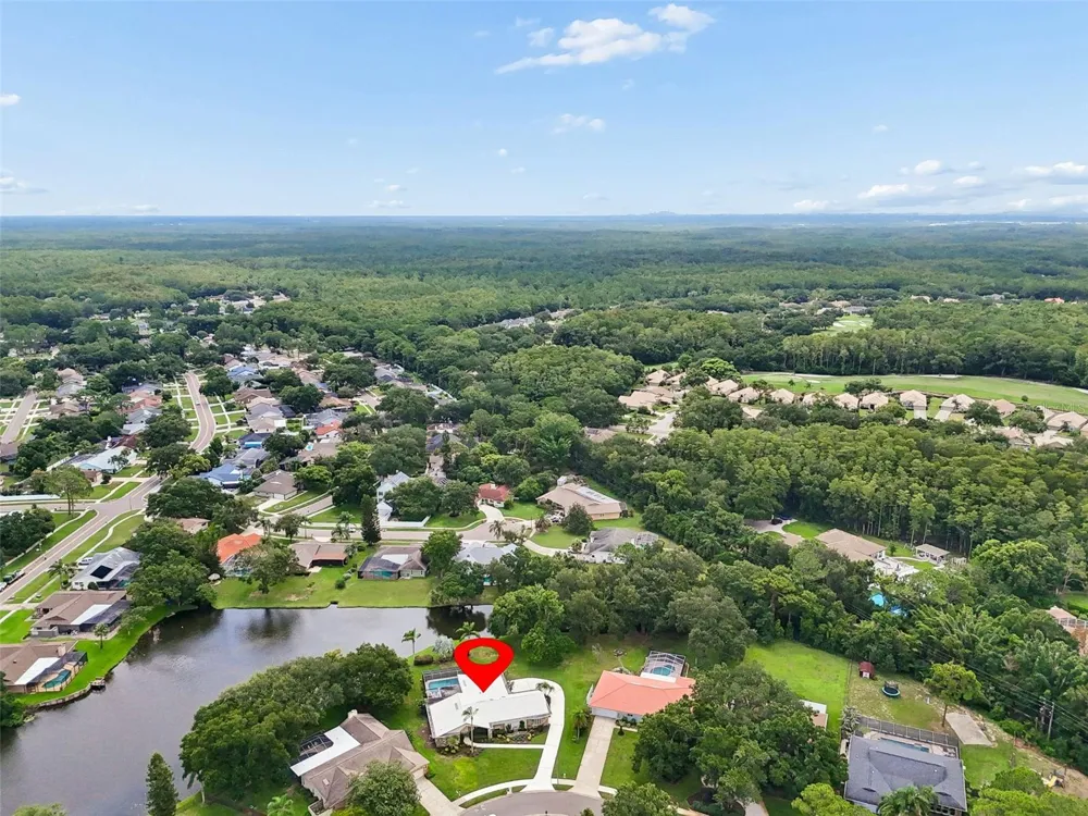 2364 VIOLET PL Palm Harbor, FL 34685