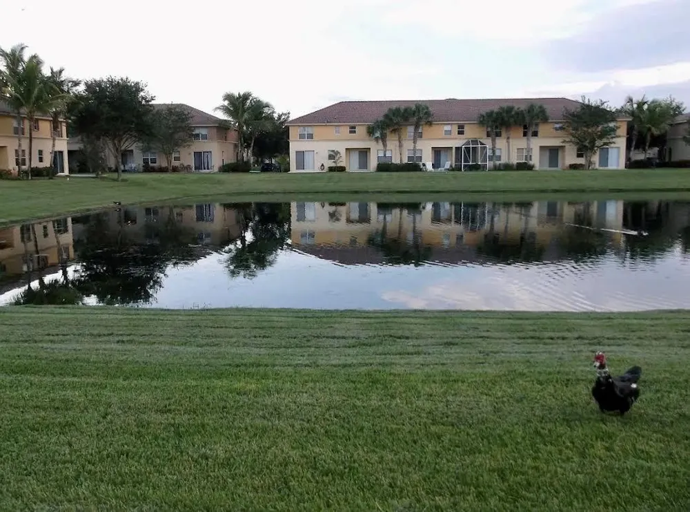 276 River Bluff Lane Royal Palm Beach, FL 33411