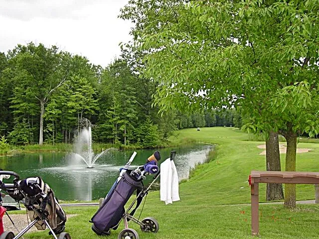 11992 Cheyenne Wells Trail Canadian Lakes, MI 49346