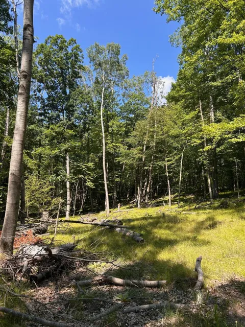 11992 Cheyenne Wells Trail