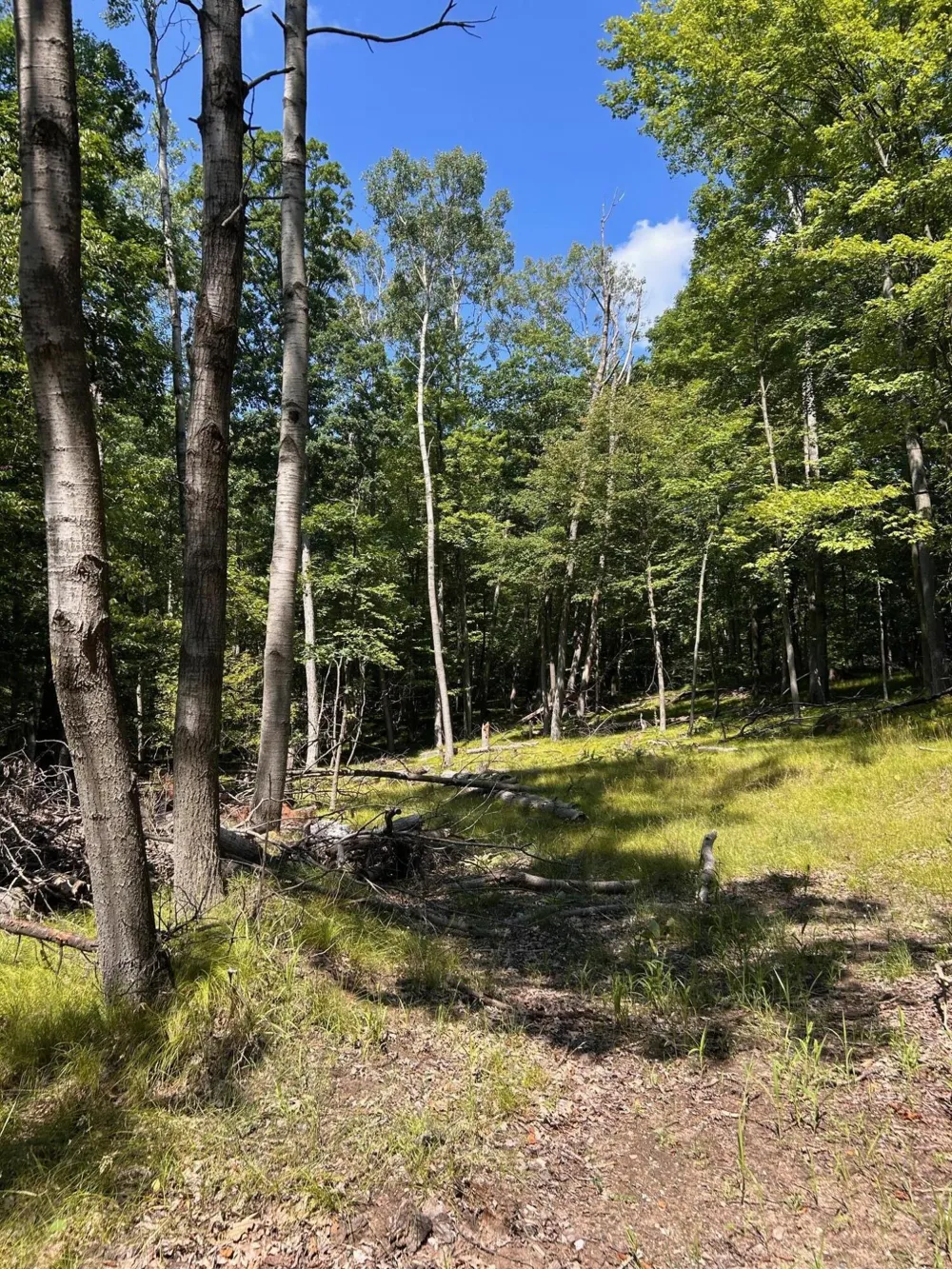 11992 Cheyenne Wells Trail Canadian Lakes, MI 49346