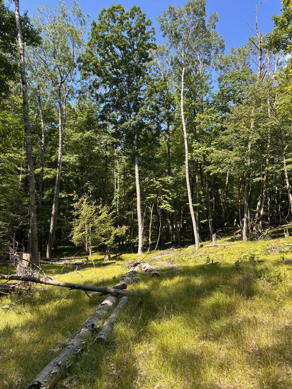 11992 Cheyenne Wells Trail Canadian Lakes, MI 49346