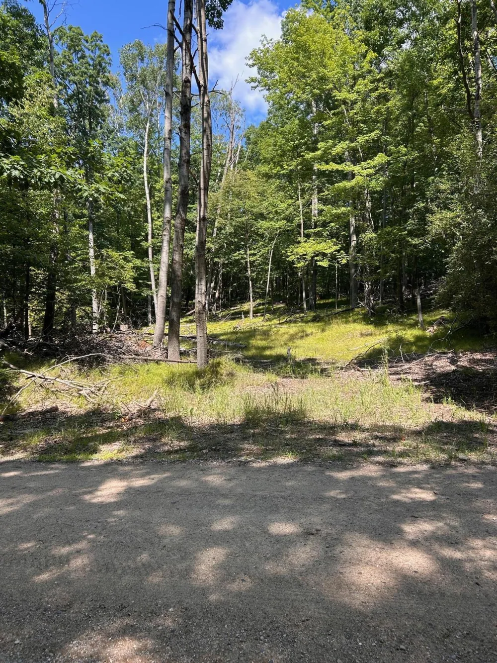 11992 Cheyenne Wells Trail Canadian Lakes, MI 49346