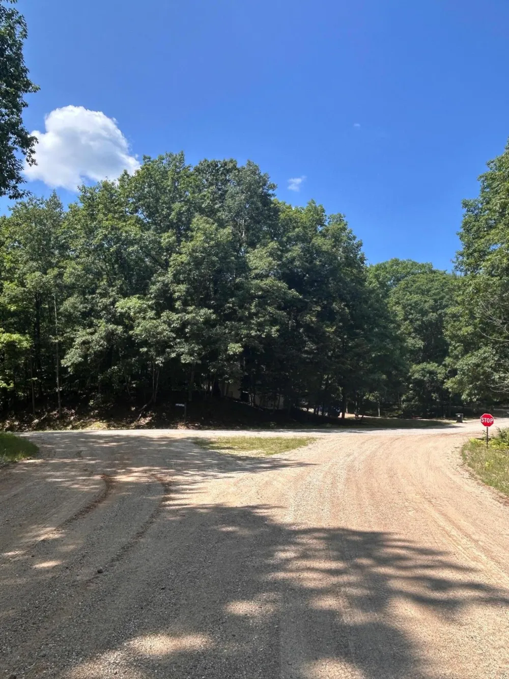 11992 Cheyenne Wells Trail Canadian Lakes, MI 49346