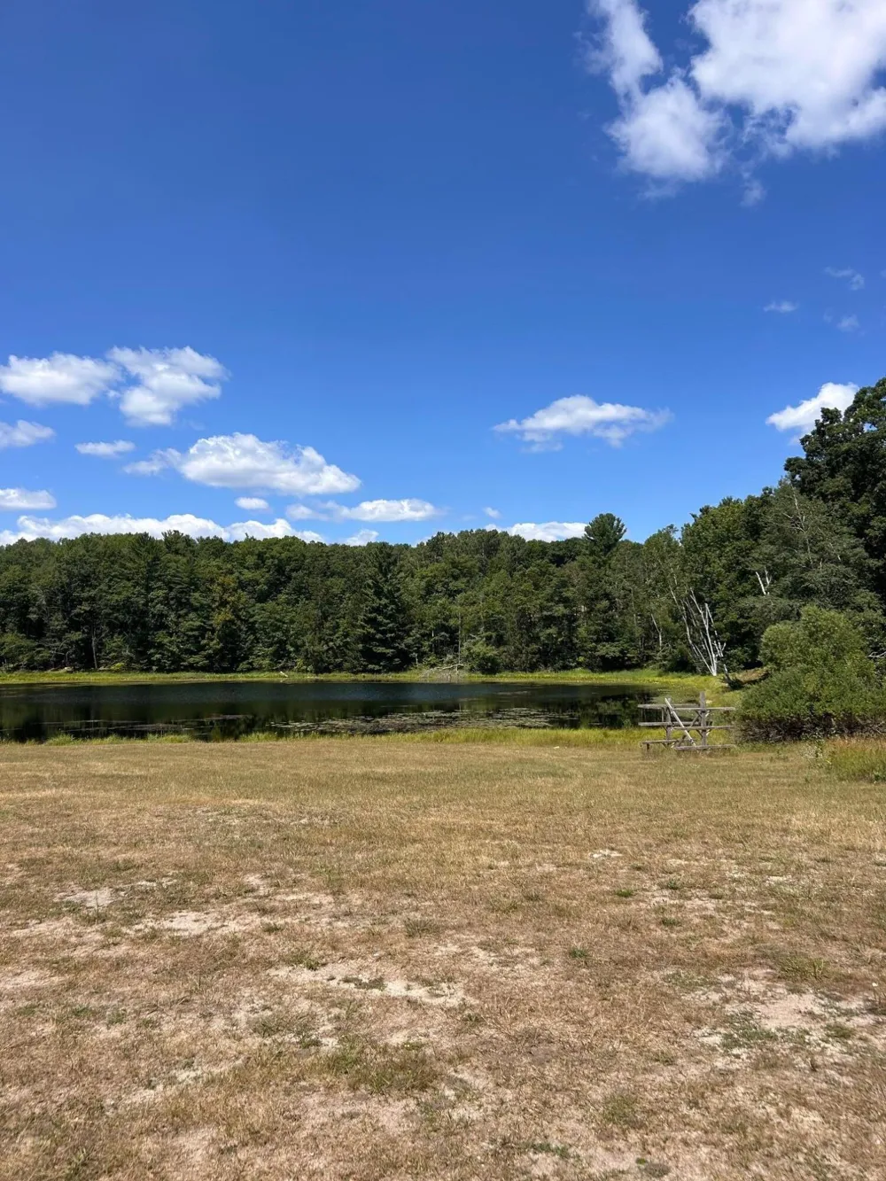 11992 Cheyenne Wells Trail Canadian Lakes, MI 49346