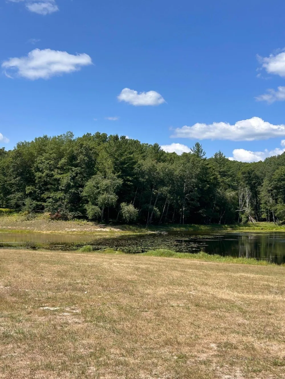 11992 Cheyenne Wells Trail Canadian Lakes, MI 49346