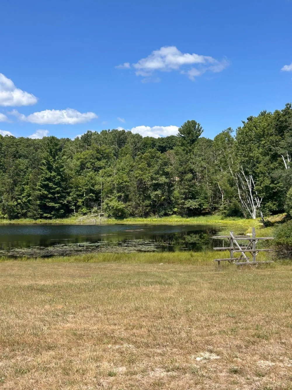 11992 Cheyenne Wells Trail Canadian Lakes, MI 49346